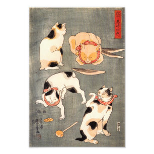 Kuniyoshi Four Cats Print Foto Afdruk