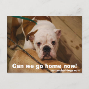 Kunnen we nu naar huis gaan? briefkaart