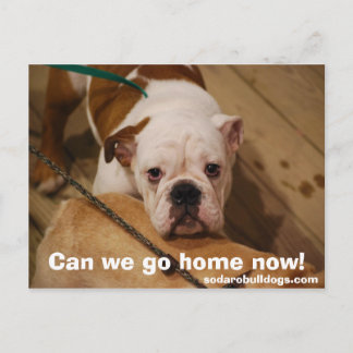 Kunnen we nu naar huis gaan? briefkaart