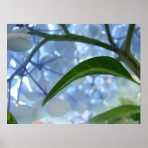 Kunst bloem blauwe hortensia bloemen prints