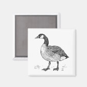 Kunst Canadese Gans Natuur Tekening Magneet (Voorkant / Achterkant)