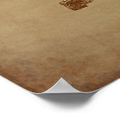  kunst Doves Bird Aged look Animal Art Poster (Hoek)