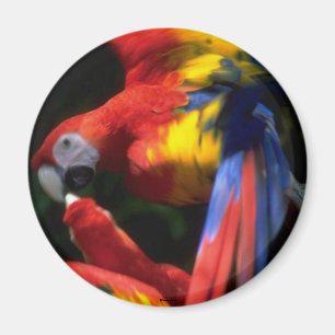 Kunst in Love Magnet Magneet
