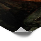  kunst John William Waterhouse Psyche Poster (Hoek)