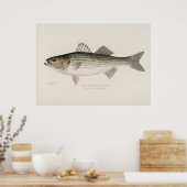 kunst met snijbaars poster (Keuken)