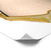  Kunst Nieuw-Zeeland 1902 Poster (Hoek)