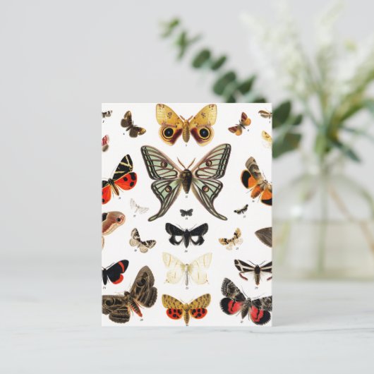 Kunst ter illustratie van  Butterflies en Moths Briefkaart (Staand voorkant)