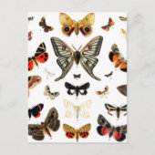 Kunst ter illustratie van  Butterflies en Moths Briefkaart (Voorkant)