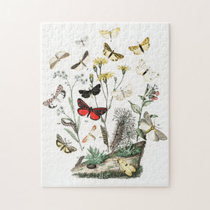 Kunst ter illustratie van Butterflies en Moths Legpuzzel
