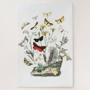 Kunst ter illustratie van Butterflies en Moths Legpuzzel