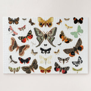 Kunst ter illustratie van Butterflies en Moths Legpuzzel