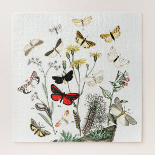 Kunst ter illustratie van Butterflies en Moths Legpuzzel