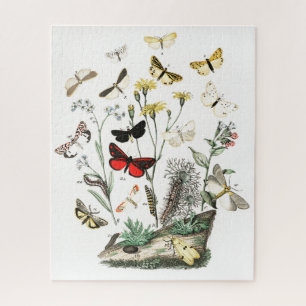 Kunst ter illustratie van Butterflies en Moths Legpuzzel