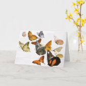Kunst ter illustratie van  Butterflies Kaart (Gele Bloem)