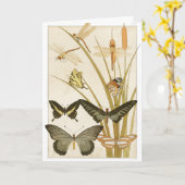 Kunst ter illustratie van  Butterflies Kaart (Gele Bloem)