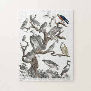 Kunst ter illustratie van vogelboeken legpuzzel