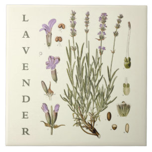 Kunst uit het verleden: Lavendelplant en bloemen W Tegeltje