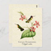  kunst van Costa's Hummingbird Briefkaart (Voorkant / Achterkant)