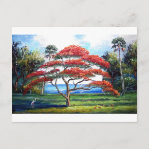 Kunst van de koninklijke boomstructuur Poinciana Briefkaart