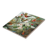 Kunst van kolibrieparadijs tegeltje (Zijkant)