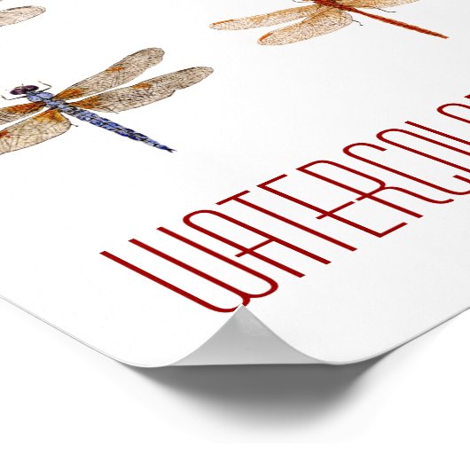 Kunst van libellen poster (Hoek)