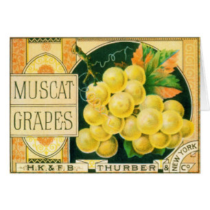 Kunst van oud fruitkistlabel, muskaatdruiven