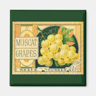 Kunst van oude fruitkratlabel, Muskaatdruiven Magneet