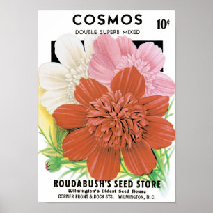 Kunst van oude zaadpakketten, Cosmos-tuinbloemen Poster