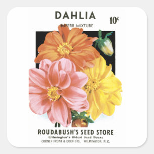 Kunst van oude zaadpakketten, Dahlia-tuinbloemen Vierkante Sticker