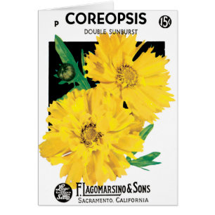 Kunst van oude zaadpakketten, gele Coreopsis-bloem