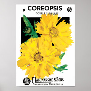 Kunst van oude zaadpakketten, gele Coreopsis-bloem Poster