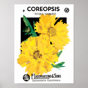 Kunst van oude zaadpakketten, gele Coreopsis-bloem Poster