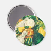 Kunst van oude zaadpakketten, gemengde pompoenen magneet (Voorkant / Achterkant)