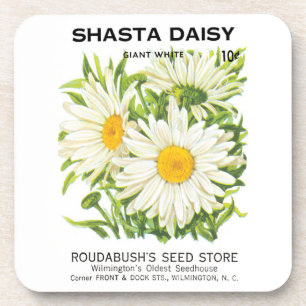 Kunst van oude zaadpakketten, Shasta-madeliefjesbl Bier Onderzetter