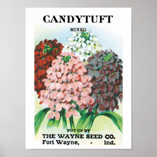 Kunst van oude zaadpakketten, tuinbloemen van Cand Poster