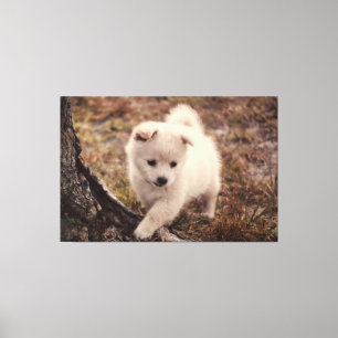 Kunst van Schattige blauw snowball Puppy Dog Canva Canvas Afdruk
