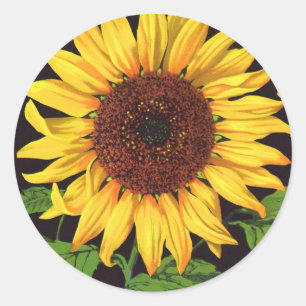 Kunst van vintage fruitkratlabel Orangedale Sunflo Ronde Sticker