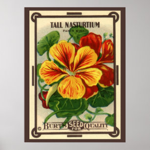 Kunst van vintage zaadpaketlabels, Oost-Indische k Poster