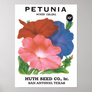 Kunst van vintage zaadpaketlabels, Petunia Bloemen Poster