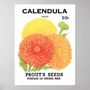 Kunst van vintage zaadpakketlabels, Calendula bloe Poster