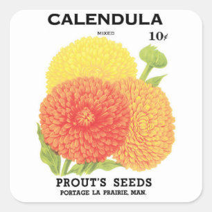 Kunst van vintage zaadpakketlabels, Calendula-bloe Vierkante Sticker