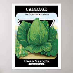 Kunst van vintage zaadpakketlabels, groene kool poster
