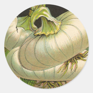 Kunst van vintage zaadpakketlabels Witte Bermuda-u Ronde Sticker