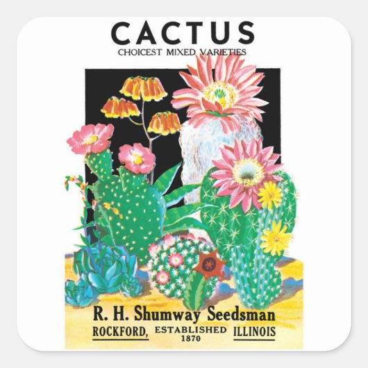 Kunst van vintage zaadpakketlabels woestijncactusp vierkante sticker (Voorkant)