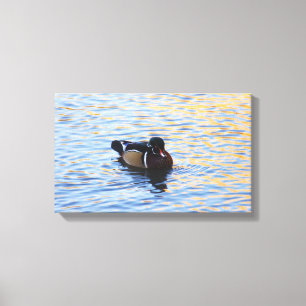 Kunst van Wood Duck Canvas Afdruk