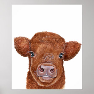 Kunst voor de kinderkamer Rode Hoogland Kalf Poster