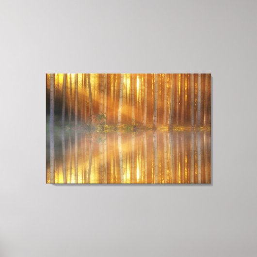 Kunst voor de Muur van het Bomen-Canvas Canvas Afdruk (Voorkant)