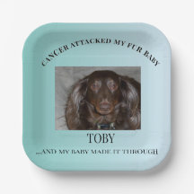 Kunst voor de viering van de overlevende Fur Baby
