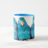 Kunst voor driepunts Pacific Blue Parrotlet Mok Cu (Midden)