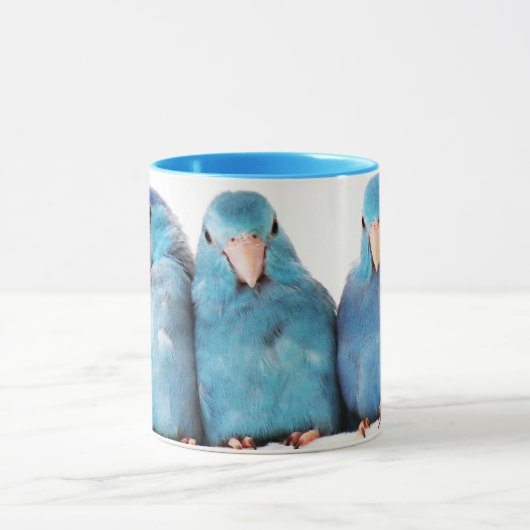 Kunst voor driepunts Pacific Blue Parrotlet Mok Cu (Midden)